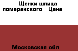 Щенки шпица померанского › Цена ­ 13 000 - Московская обл., Москва г. Животные и растения » Собаки   